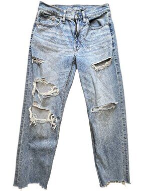 American Eagle Womens Distressed Strigid Low-Rise Baggy Straight Jeans Sz 2 Blue